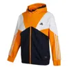 Adidas Originals Men's Adidas Stripe Splicing Logo Printing Zipper Hooded Jacket Autumn Black