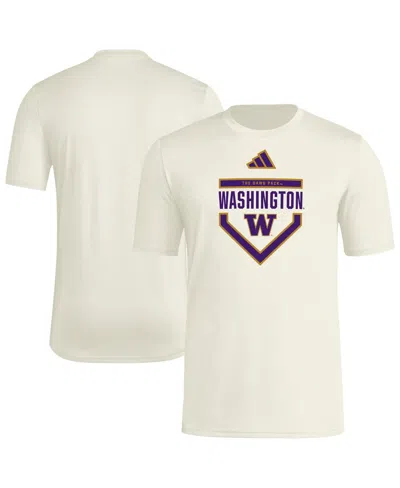 Adidas Originals Men's Cream Washington Huskies Home Plate Pre-game T-shirt