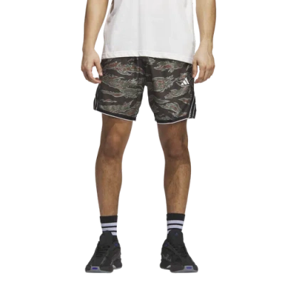 Adidas Originals Men's Crazy Lite Allover Printed Basketball Shorts In Green