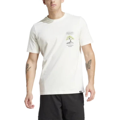 Adidas Originals Mens Adidas Growth Graphic T-shirt In Off White