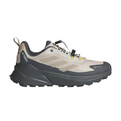 Pre-owned Adidas Originals National Geographic X Wmns Terrex Trailmaker 2.0 Gore-tex 'orbit Grey Wonder Beige'