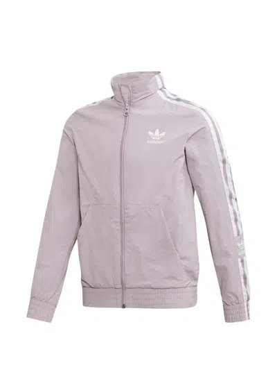 Adidas Originals Kids' New Icon Track Jacket In Purple