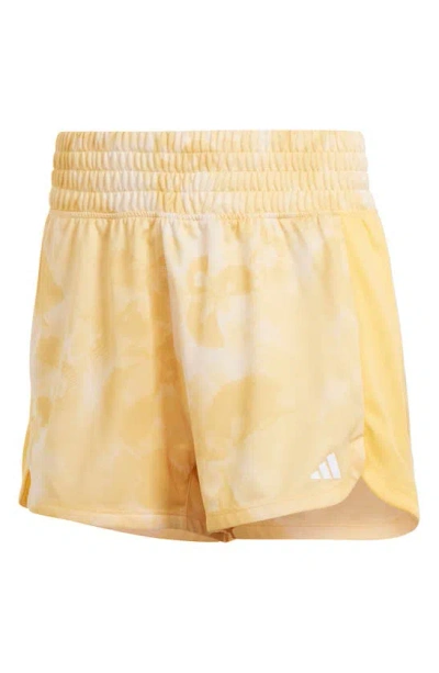 Adidas Originals Pacer Knit Flower Shorts In Yellow