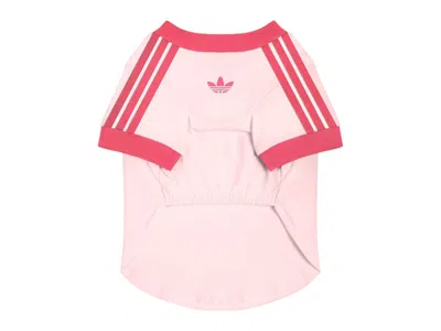 Pre-owned Adidas Originals Pet Cali Tee Shirt In Clear Powder Pink
