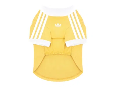 Pre-owned Adidas Originals Pet Cali Tee Shirt In Sunlight Yellow/jade White