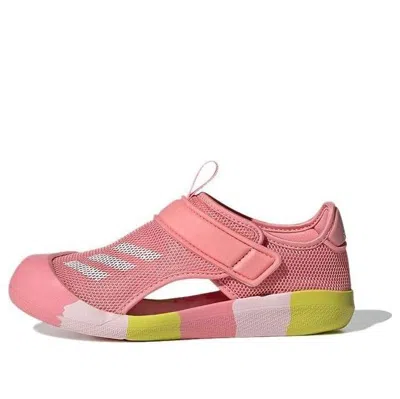 Adidas Originals (ps) Adidas Altaventure Ct C 'pink Blue' In Multi