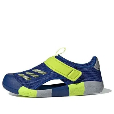 Adidas Originals (ps) Adidas Altaventure Ct C Sandal Blue/yellow In Multi
