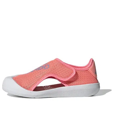 Adidas Originals (ps) Adidas Altaventure J 'acid Red Sky Rush' In Pink