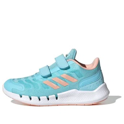 Adidas Originals (ps) Adidas Climacool Ventania Heat Rdy 'blue Pink' In Multi