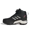 Adidas Originals (ps) Adidas Terrex Winter Mid Boa Hiking Shoes 'core Black Silver Metallic'