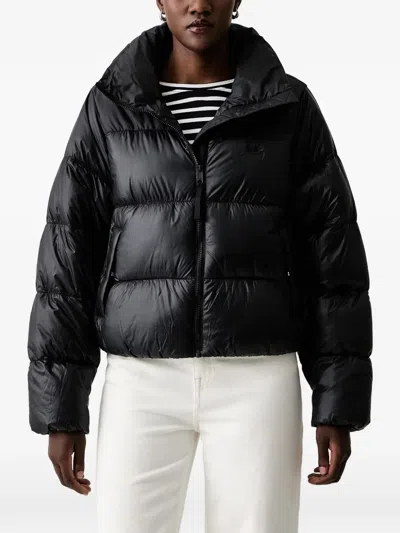 Adidas Originals Quilted Padded Jacket In Schwarz
