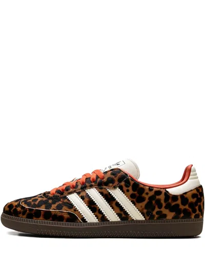 Adidas Originals Celine Low Lace-up Sneakers With Triomphe In Animal Print