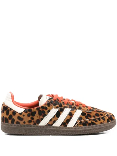 Adidas Originals Celine Low Lace-up Sneakers With Triomphe In Animal Print