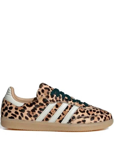 Adidas Originals Golden Goose Golden Goose Ball Star White Nappa Sneakers With Black Star In Multi