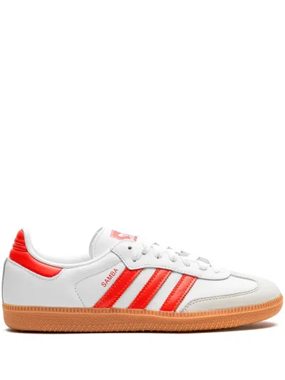 Adidas Originals Adidas Sneakers In White