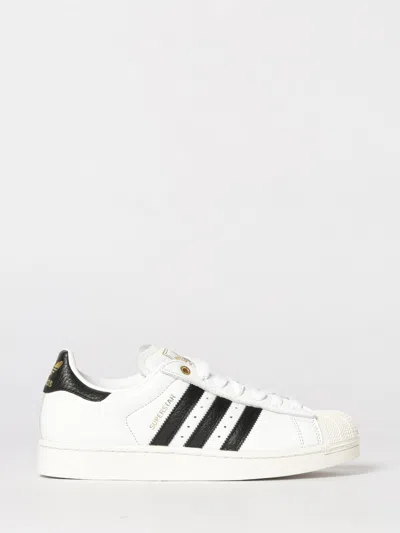 Adidas Originals Adidas Superstar Ii Sneaker In White