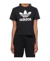Adidas Originals Adicolor Classics Trefoil T-shirt In Black
