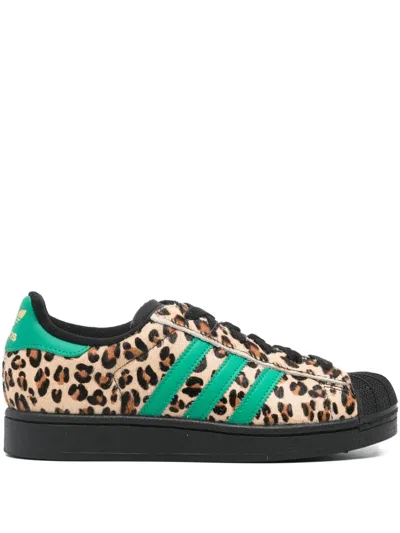 Adidas Originals Womens Black Court Green Gold M Superstar Ii Leather Trainers In Multi