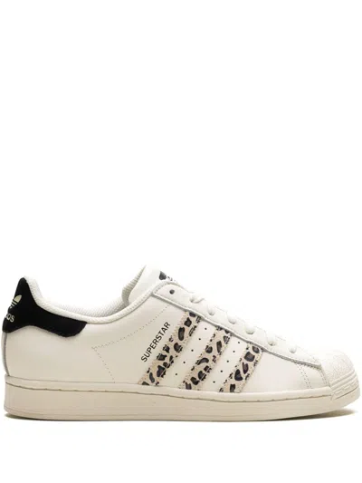 Adidas Originals Superstar Sneakers In Weiss
