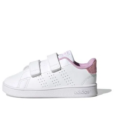 Adidas Originals (td) Adidas Advantage 'white Purple'