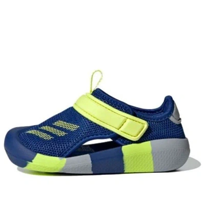 Adidas Originals (td) Adidas Altaventure Ct I Sandal Blue/yellow