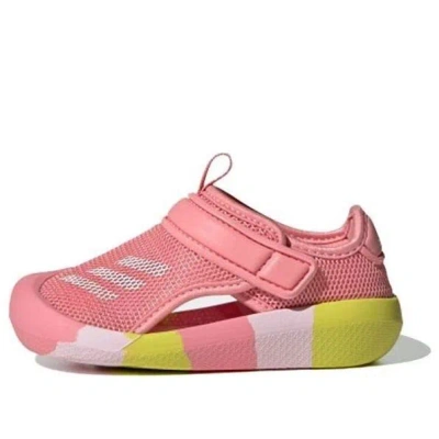 Adidas Originals (td) Adidas Altaventure Ct I Sandal Pink/red/white In Multi