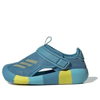 Adidas Originals (td) Adidas Altaventure Ct I Sandals Blue/yellow In Multi
