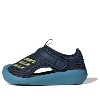 Adidas Originals (td) Adidas Altaventure Sandals Blue/yellow In Multi