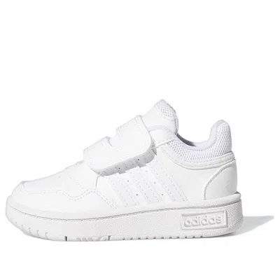 Adidas Originals (td) Adidas Hoops 'white'
