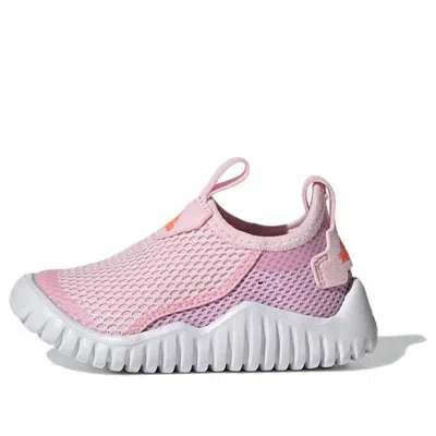 Adidas Originals (td) Adidas Rapidazen Summer. Rdy In Pink