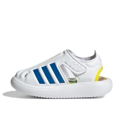 Adidas Originals (td) Adidas Water Sandals 'cloud White Bright Royal Bright Red' In Multi