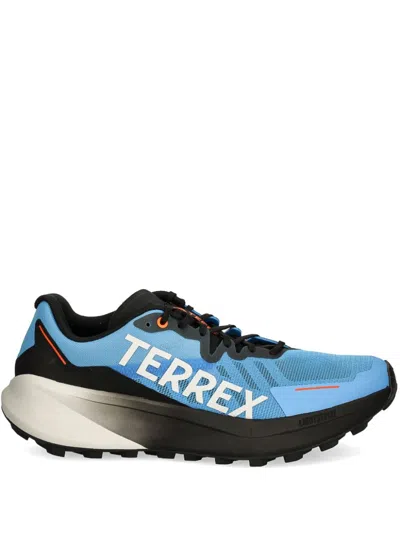 Adidas Originals Terrex Agravic 3 Sneakers In Blue