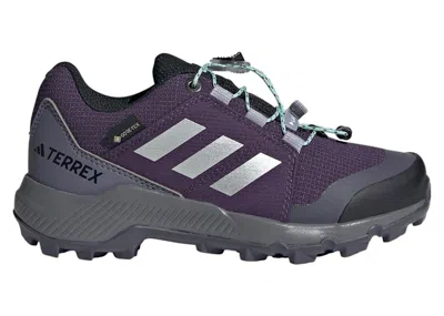Pre-owned Adidas Originals Terrex Goretex Sneakers In Aurora Plum/silver Metallic/semi Flash Aqua