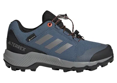 Pre-owned Adidas Originals Terrex Goretex Sneakers In Wonder Steel/grey Three/semi Impact Orange
