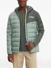 Adidas Originals Terrex Jacket In Green