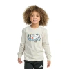 Adidas Originals Toddler Boys Crew Neck Long Sleeve Regular Fit Graphic T-shirt In White