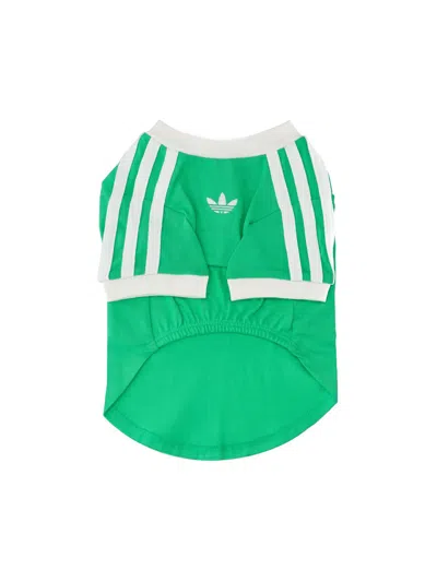 Adidas Originals T-shirt For Pets "pet Cali" In Green