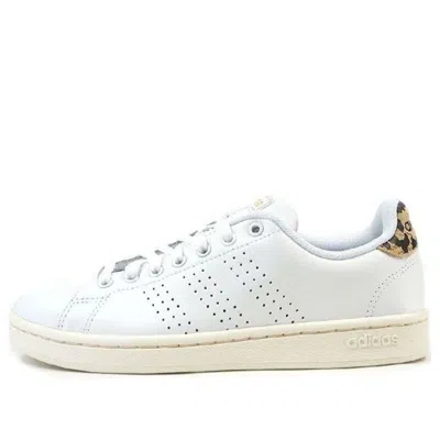 Adidas Originals (wmns) Adidas Advantage 'white Brown'