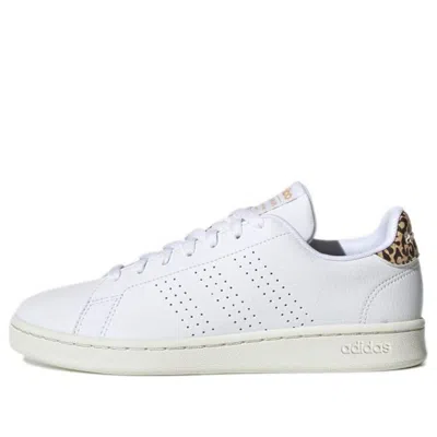 Adidas Originals (wmns) Adidas Advantage 'white Leopard'