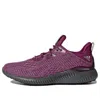 Adidas Originals (wmns) Adidas Alphabounce Em 'mystery Ruby' In Purple