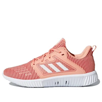 Adidas Originals (wmns) Adidas Climacool Vent 'pink'