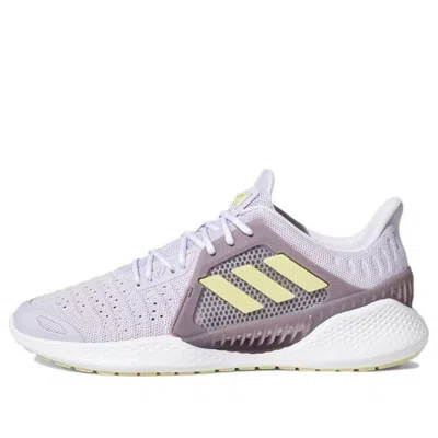 Adidas Originals (wmns) Adidas Climacool Vent Summer.rdy Ck U 'purple Yellow'