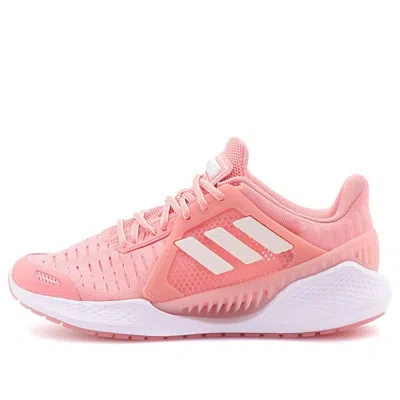 Adidas Originals (wmns) Adidas Climacool Vent Summer.rdy Em 'glory Pink'