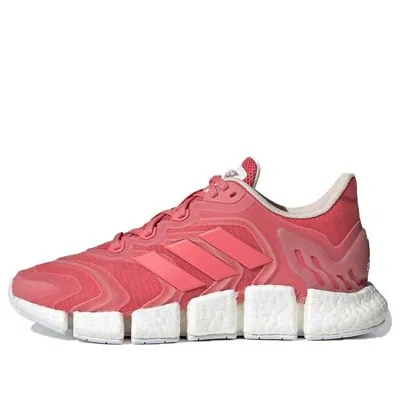Adidas Originals (wmns) Adidas Climacool Vento 'hazard Rose' In Pink