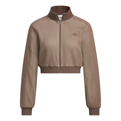 Adidas Originals (wmns) Adidas Crop Track Top Slim Fit Jacket Asia Sizing 'sand Strata' In Brown