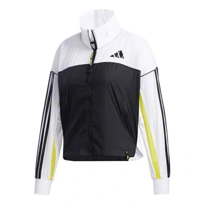 Adidas Originals (wmns) Adidas Cva Wb Sports Jacket Black/white In Multi