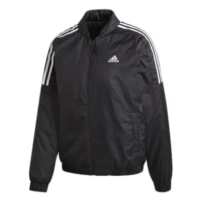 Adidas Originals (wmns) Adidas Essentials Insulated Bomber Jacket Asia Sizing 'black'