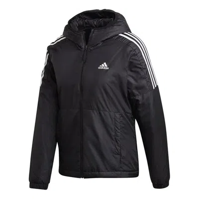 Adidas Originals (wmns) Adidas Essentials Insulated Hooded Jacket Asia Sizing 'black White' In Multi