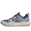 Adidas Originals (wmns) Adidas Five Ten Trailcross Xt 'silver Violet Steel' In Gray