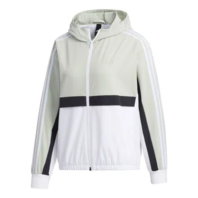 Adidas Originals (wmns) Adidas Hooded Jacket 'green White' In Multi
